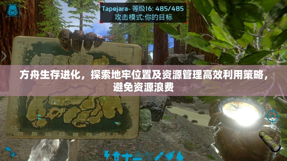 方舟生存进化，探索地牢位置及资源管理高效利用策略，避免资源浪费
