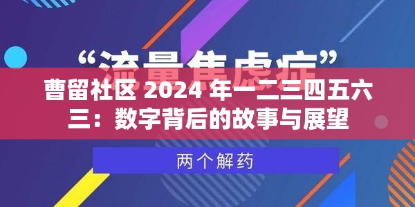 曹留社区 2024 年一二三四五六三：数字背后的故事与展望