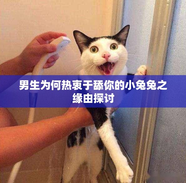 男生为何热衷于舔你的小兔兔之缘由探讨