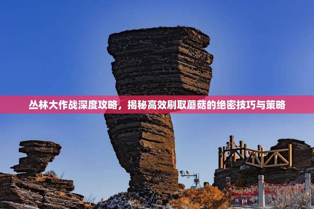 丛林大作战深度攻略，揭秘高效刷取蘑菇的绝密技巧与策略