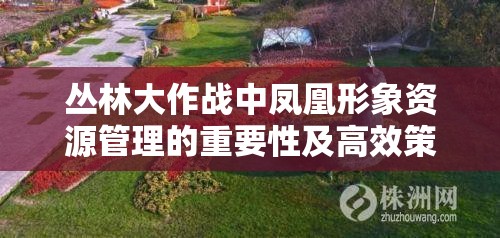 丛林大作战中凤凰形象资源管理的重要性及高效策略探索