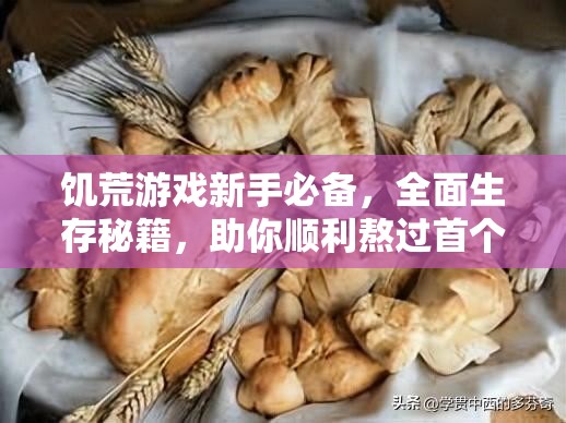 饥荒游戏新手必备，全面生存秘籍，助你顺利熬过首个严酷冬天