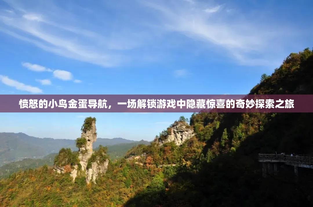 愤怒的小鸟金蛋导航，一场解锁游戏中隐藏惊喜的奇妙探索之旅