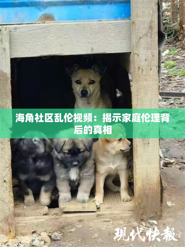 海角社区乱伦视频：揭示家庭伦理背后的真相