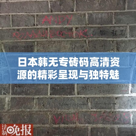 日本韩无专砖码高清资源的精彩呈现与独特魅力
