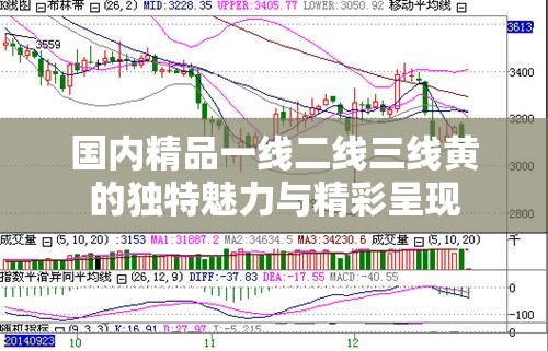 国内精品一线二线三线黄的独特魅力与精彩呈现