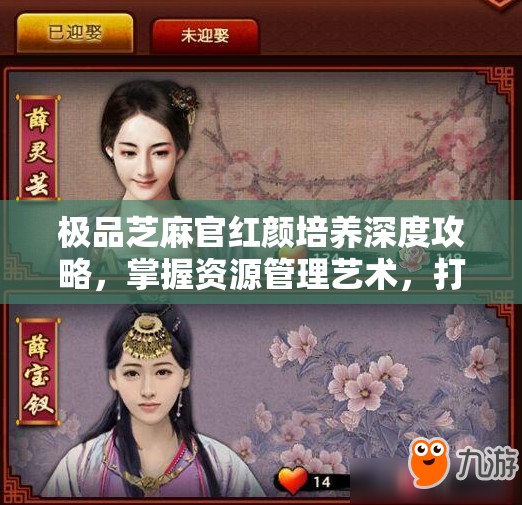 极品芝麻官红颜培养深度攻略，掌握资源管理艺术，打造顶级红颜阵容
