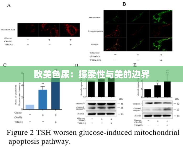 欧美色尿：探索性与美的边界