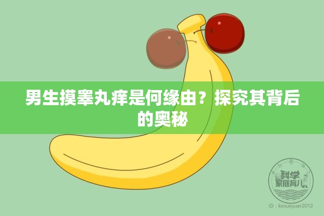 男生摸睾丸痒是何缘由？探究其背后的奥秘