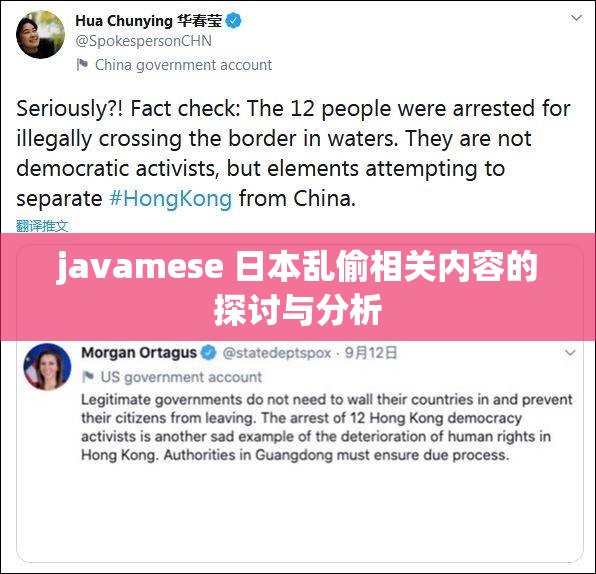 javamese 日本乱偷相关内容的探讨与分析