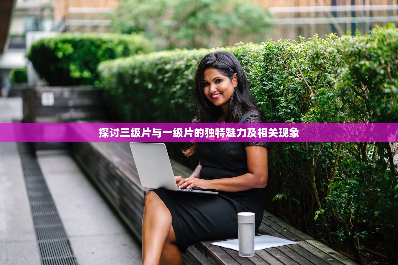 探讨三级片与一级片的独特魅力及相关现象