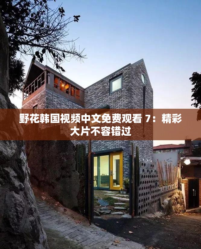 野花韩国视频中文免费观看 7：精彩大片不容错过