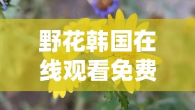野花韩国在线观看免费高清，高清画质，精彩剧情等你来看