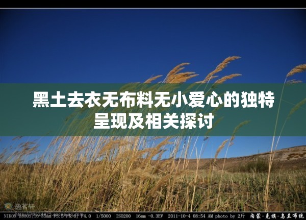 黑土去衣无布料无小爱心的独特呈现及相关探讨