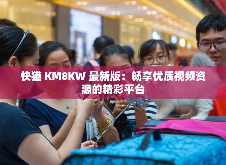 快猫 KM8KW 最新版：畅享优质视频资源的精彩平台