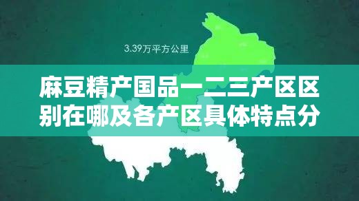 麻豆精产国品一二三产区区别在哪及各产区具体特点分析