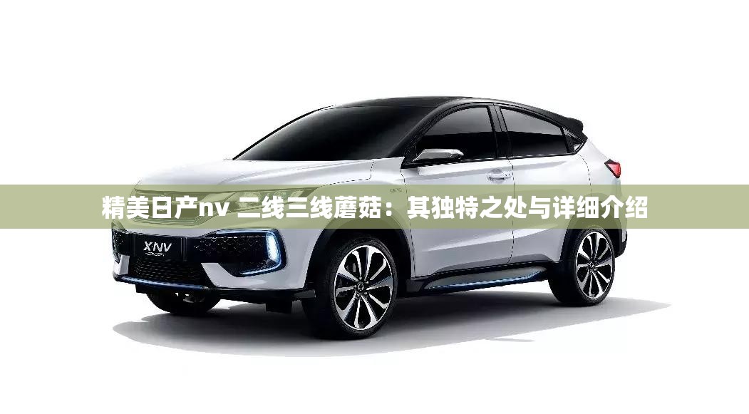 精美日产nv 二线三线蘑菇：其独特之处与详细介绍