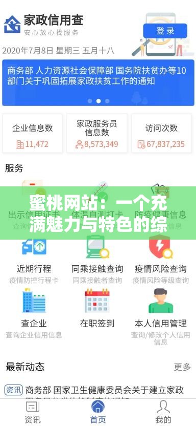 蜜桃网站：一个充满魅力与特色的综合性平台