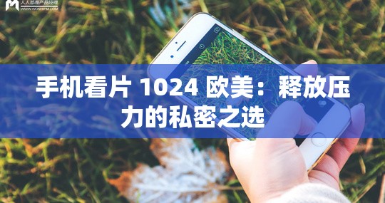 手机看片 1024 欧美：释放压力的私密之选