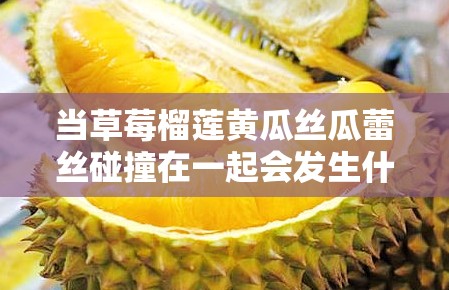 当草莓榴莲黄瓜丝瓜蕾丝碰撞在一起会发生什么？