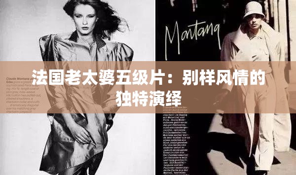 法国老太婆五级片：别样风情的独特演绎