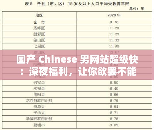 国产 Chinese 男网站超级快：深夜福利，让你欲罢不能