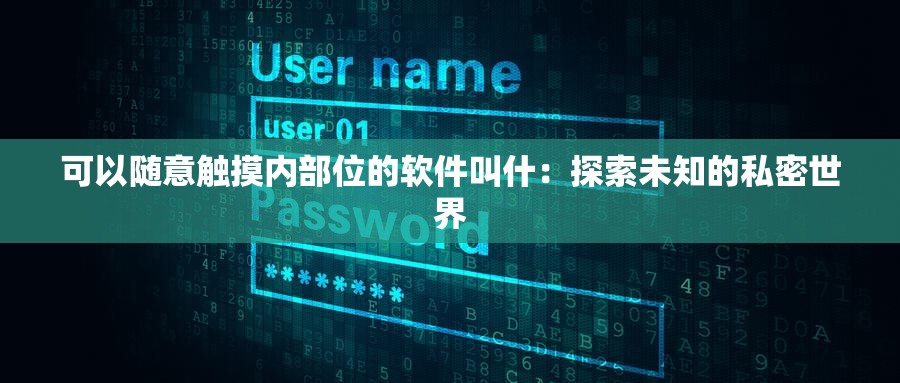 可以随意触摸内部位的软件叫什：探索未知的私密世界