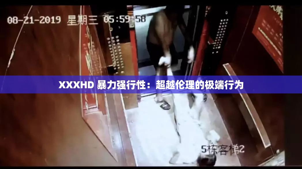 XXXHD 暴力强行性：超越伦理的极端行为