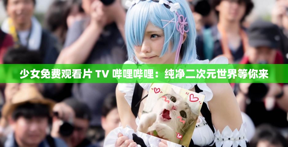 少女免费观看片 TV 哔哩哔哩：纯净二次元世界等你来