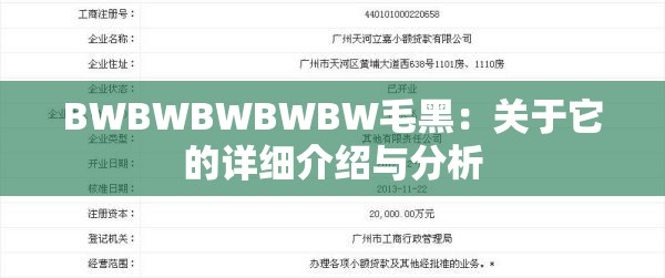 BWBWBWBWBW毛黑：关于它的详细介绍与分析