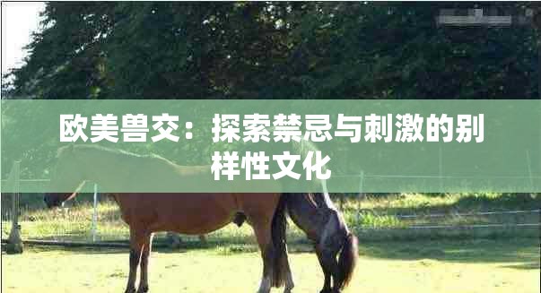欧美兽交：探索禁忌与刺激的别样性文化