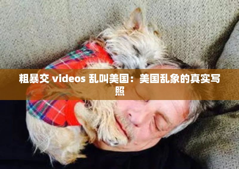 粗暴交 videos 乱叫美国：美国乱象的真实写照