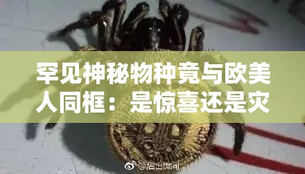 罕见神秘物种竟与欧美人同框：是惊喜还是灾难？