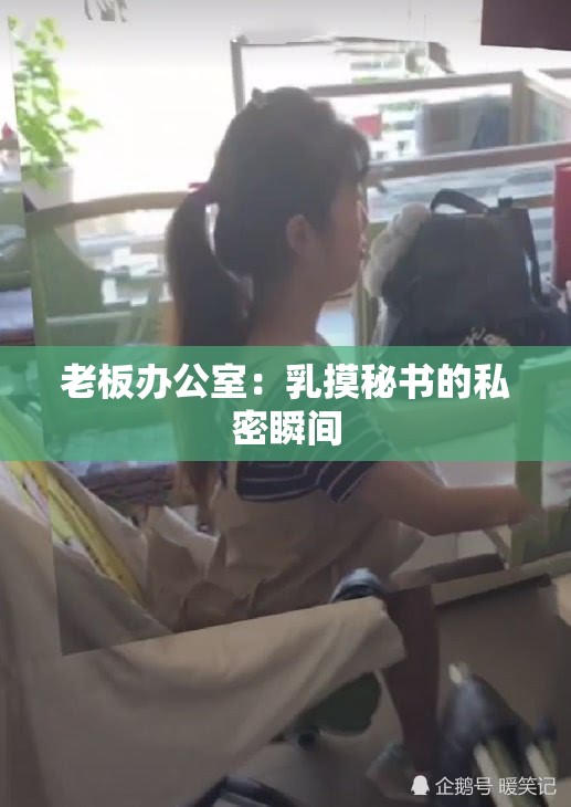 老板办公室：乳摸秘书的私密瞬间