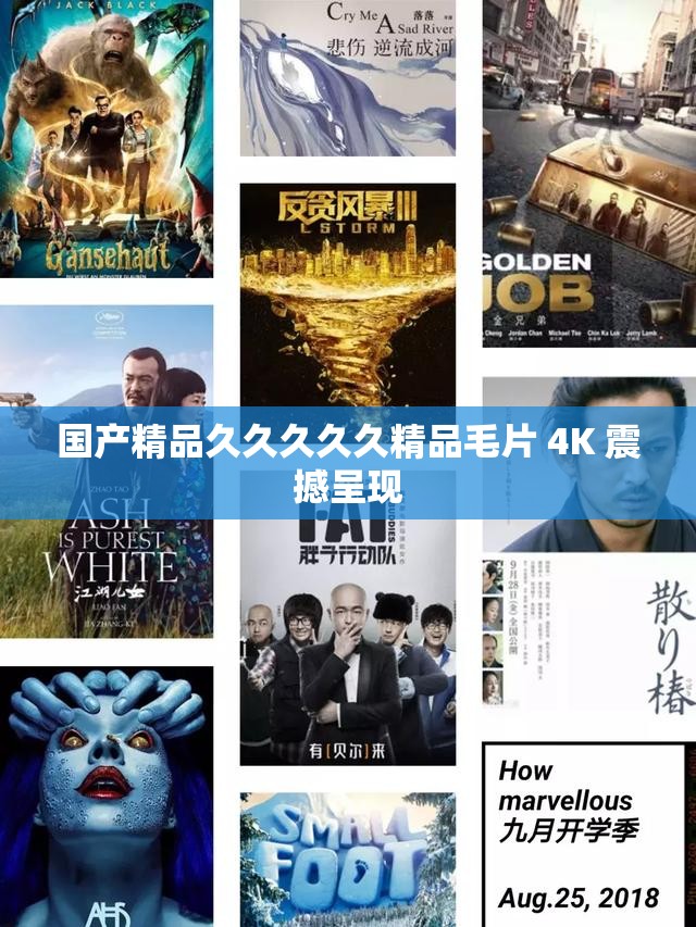 国产精品久久久久久精品毛片 4K 震撼呈现