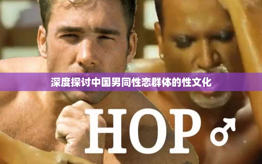 深度探讨中国男同性恋群体的性文化