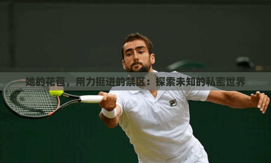 她的花苞，用力挺进的禁区：探索未知的私密世界