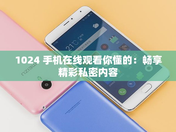 1024 手机在线观看你懂的：畅享精彩私密内容