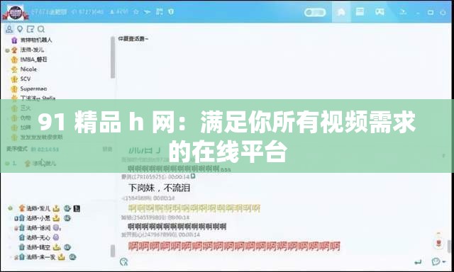 91 精品 h 网：满足你所有视频需求的在线平台