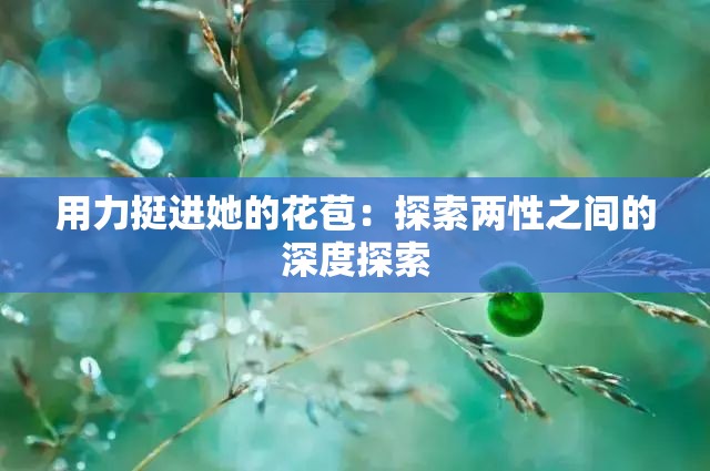 用力挺进她的花苞：探索两性之间的深度探索