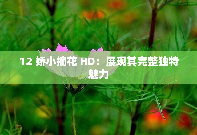 12 娇小摘花 HD：展现其完整独特魅力