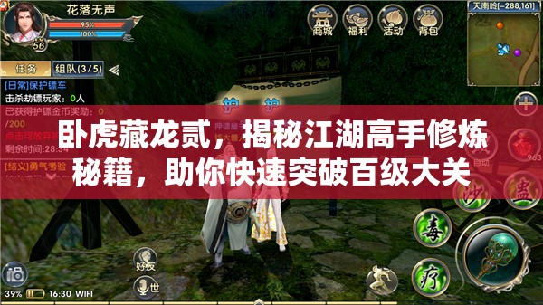 卧虎藏龙贰，揭秘江湖高手修炼秘籍，助你快速突破百级大关