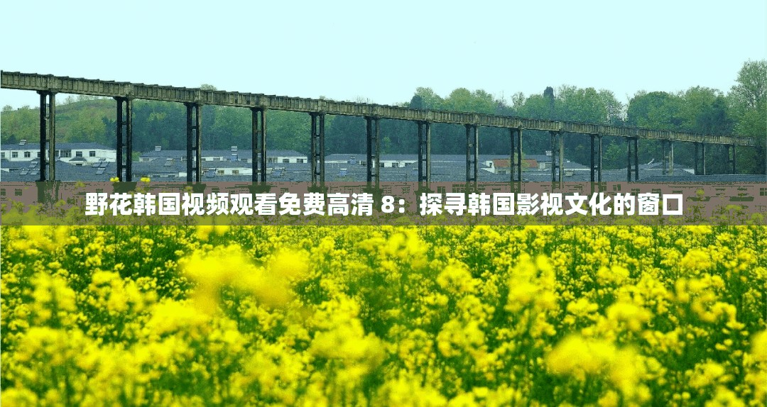 野花韩国视频观看免费高清 8：探寻韩国影视文化的窗口