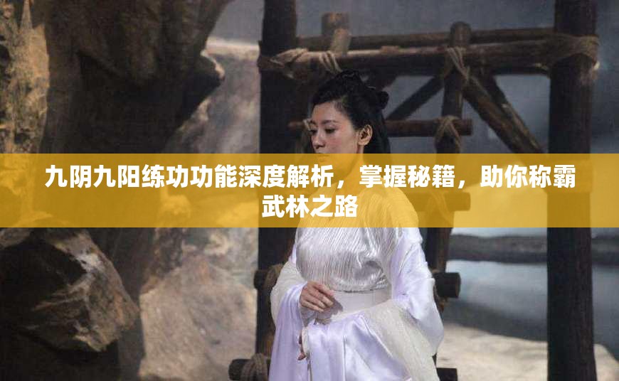九阴九阳练功功能深度解析，掌握秘籍，助你称霸武林之路