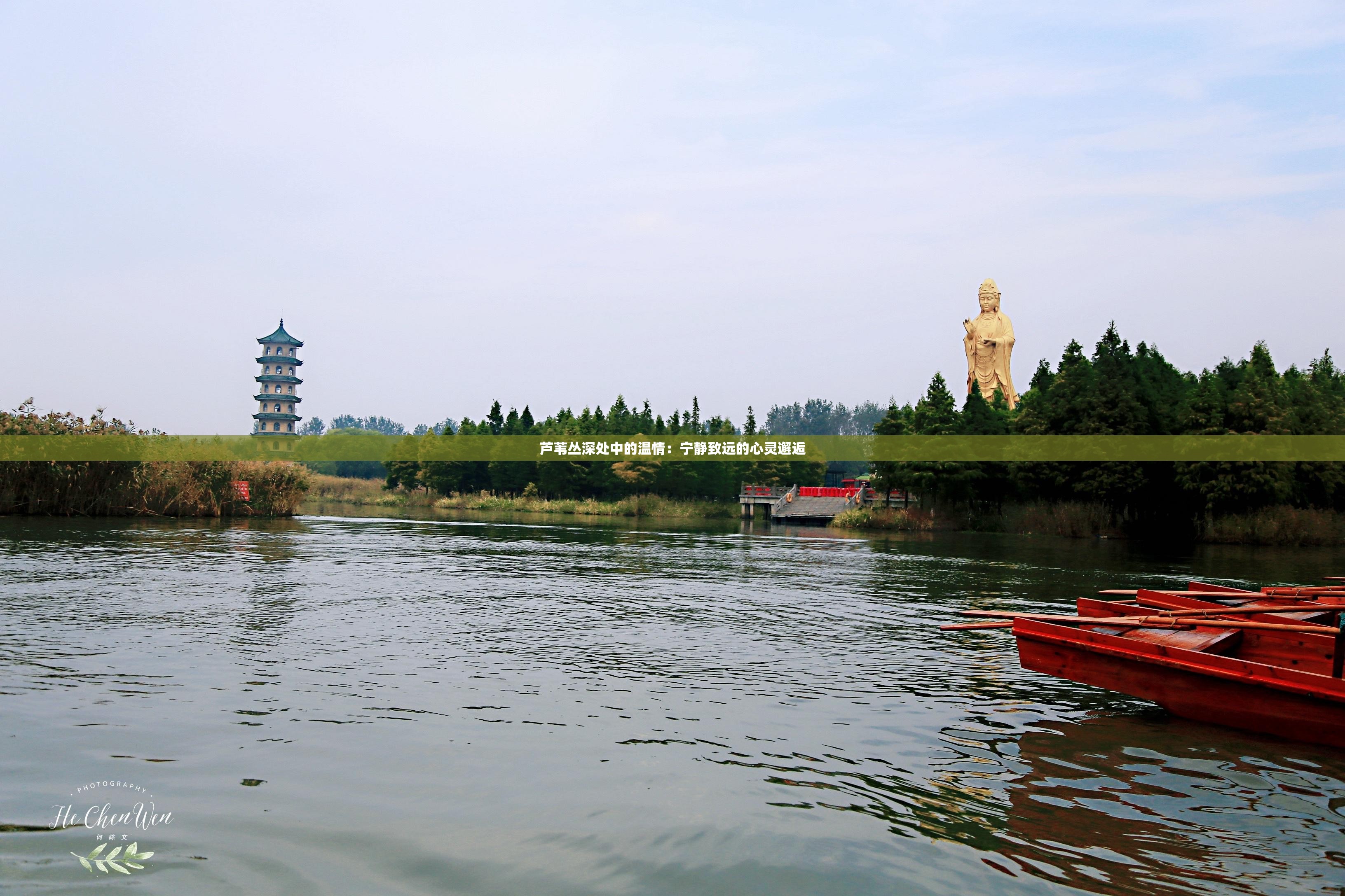 芦苇丛深处中的温情：宁静致远的心灵邂逅