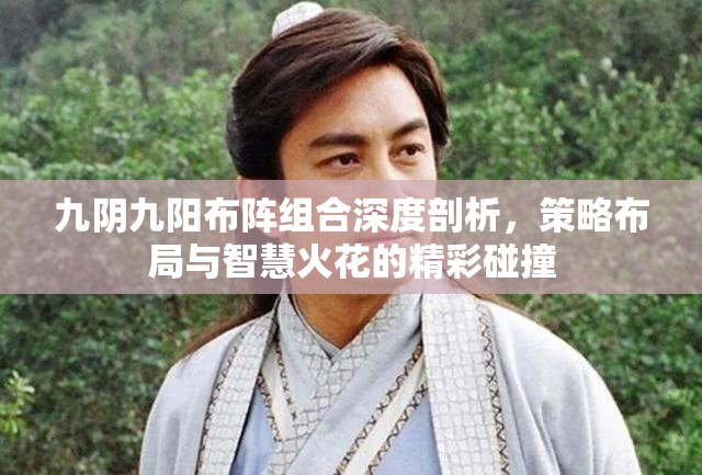 九阴九阳布阵组合深度剖析，策略布局与智慧火花的精彩碰撞