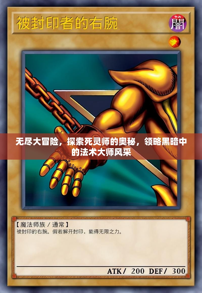 无尽大冒险，探索死灵师的奥秘，领略黑暗中的法术大师风采
