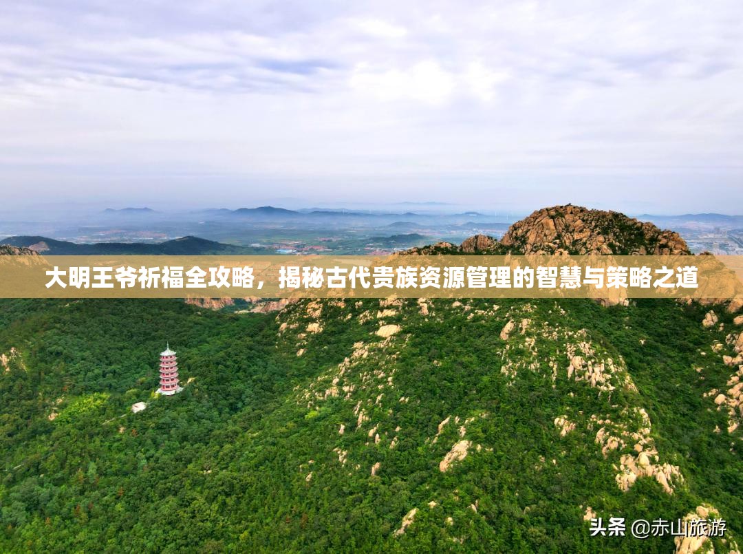大明王爷祈福全攻略，揭秘古代贵族资源管理的智慧与策略之道