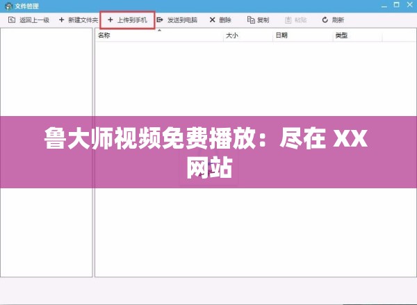 鲁大师视频免费播放：尽在 XX 网站