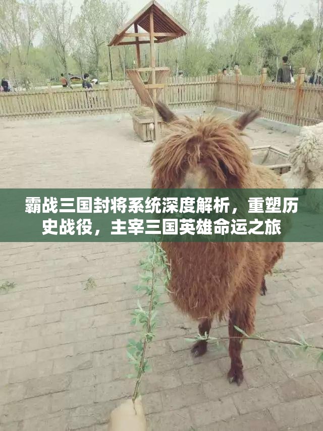 霸战三国封将系统深度解析，重塑历史战役，主宰三国英雄命运之旅